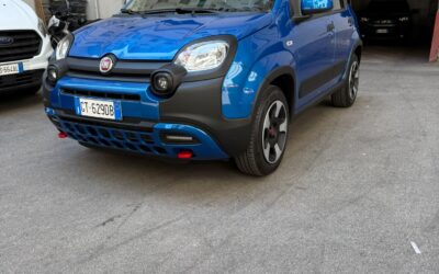 PANDA CROSS – HYBRID